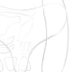 thumbnail image 1 of Etiqueta Engomada De La Arruga Tiras de estiramiento facial Almohadillas de silicona convenientes para la piel para el cuidado del cuerpo (G) Tmvgtek Cuidado Belleza, 1 of 6
