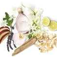 thumbnail image 3 of Perfume SJP Lovely Eau De Parfum 200 ml para mujer, 3 of 6