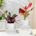 thumbnail image 3 of Hioecau Plastic Flowerpot Self-Watering Planter Weather-Resistant UV Protection Automatic Watering System Plant Pot, 3 of 8