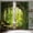 A, variant on Enchanted Forest Blackout Curtains Patterned Tree Scenic Nature Green Spring Woodland Grommet Window Drapes for Bedroom Living Room Black Out 84 Inch Length 2 Panels Set, 84 X 52 Inch