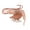 Red Shrimp, variant on AYYUFE High Simulation Shrimp Squid Ocean Animal Model Figurine Table Kids Toy