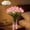Pink, variant on 15 PCS Radiant Romantic Tulip Light with Vase, Twinkling Tulips Tree, LED Artificial Flowers Ambient Night Lamp, Gentle Lighting, for Bedroom Bedside Decor and Gift (White)