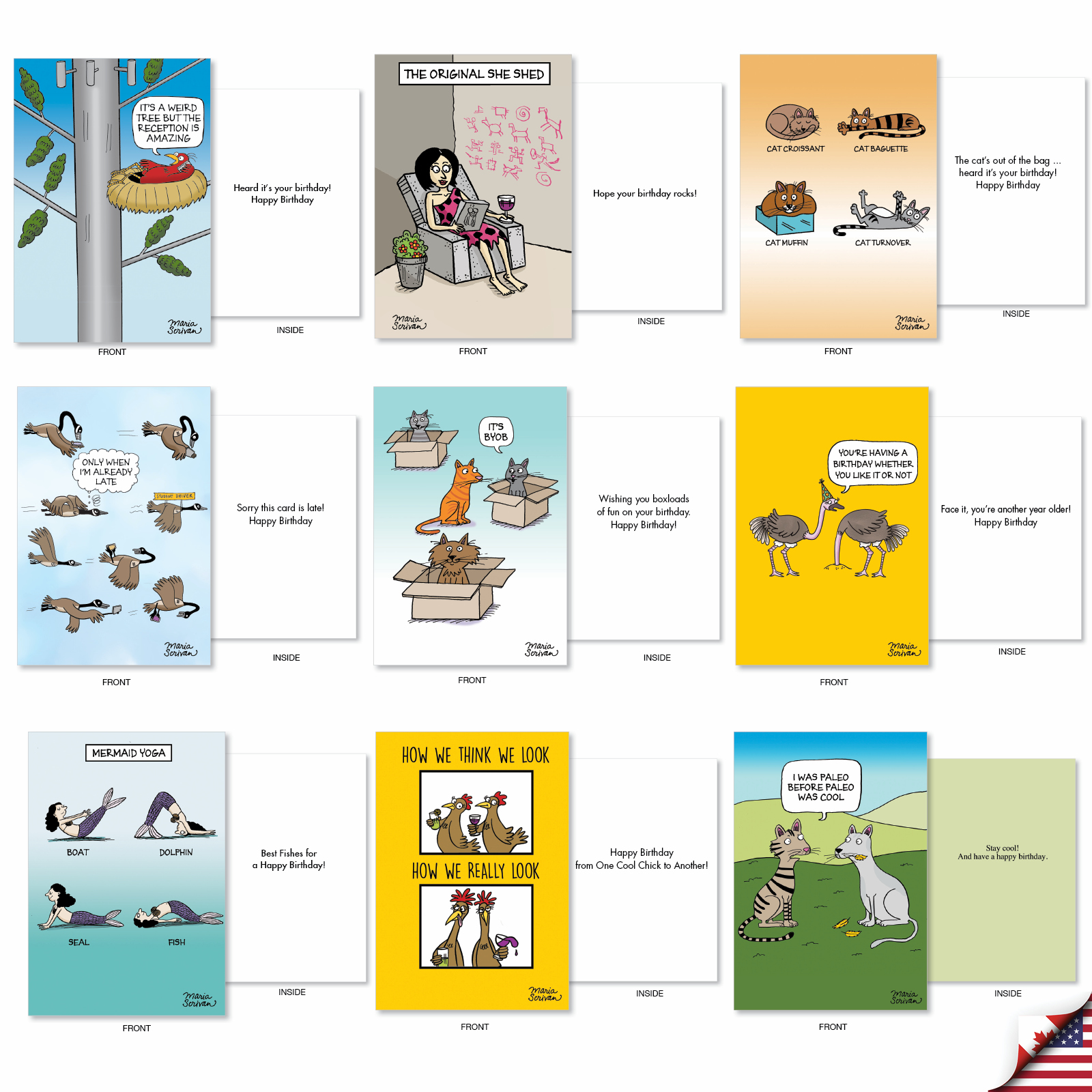 NobleWorks 36 Assorted Box Set Funny Birthday Greeting Cards w/5 x 7 Inch Envelopes (36 Designs, 1 Each) Bday Maria Scrivan's Celebrate AC7741BDG-B1x36