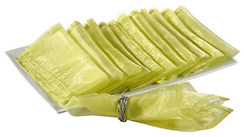 Fennco Styles Sorbet Collection Elegant Sheerness Organza 20 x 20 Inch Cloth  Napkins, Set of 12 - Gold Diner Napkins for Wedding, Banquets, Special  Events and Party Décor 