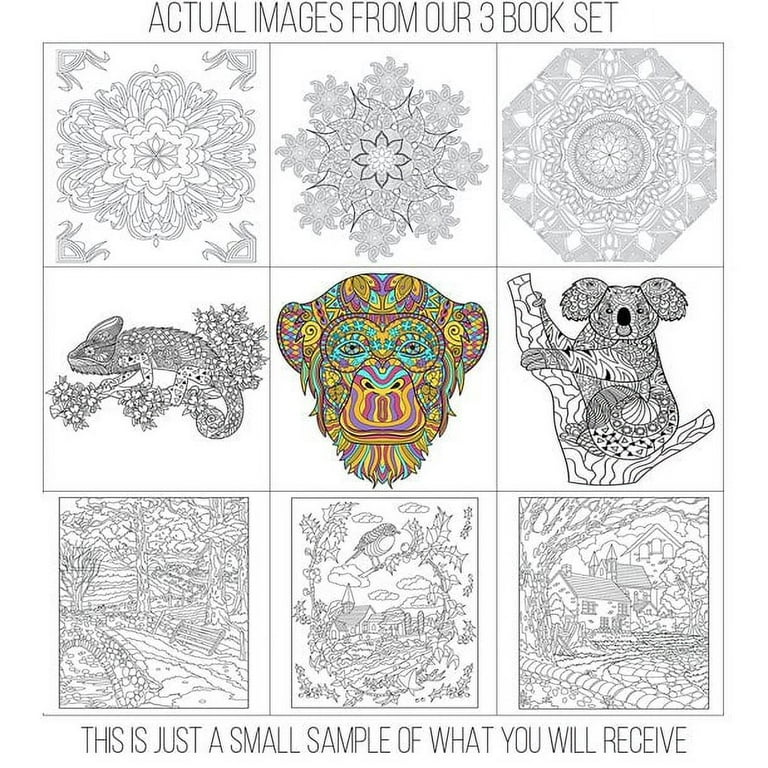 ADHD Coloring Book a Fun and Relaxing Coloring Book for Adults