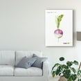 thumbnail image 3 of Trademark Fine Art 'Root Vegetable VI' Canvas Art by Grace Popp, 3 of 4