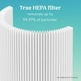thumbnail image 4 of Bionaire True HEPA 360 Replacement Filter for Desktop, Mini, and Sense Air Purifier, 1 Count, 6–12 Month Life, 4 of 5
