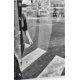 thumbnail image 1 of HARTAS RM Pasta Blanda, 1 of 2