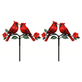thumbnail image 3 of 2Pcs Red Cardinal Garden Stake – Red Cardinal Metal Outdoor Decor with Integrated Ground Spike, Decorative Yard Ornament for Patio, Pathway & Lawn, 3 of 4