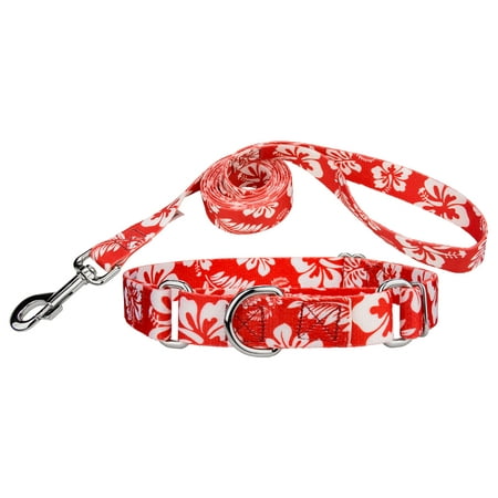 - Country Brook Design® Red Hawaiian Martingale Dog Collar & Leash