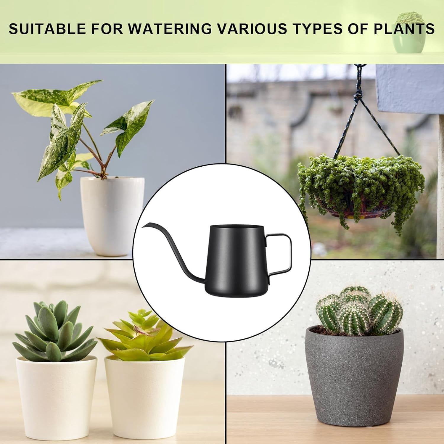 12 oz / 350 ml Small Watering Can Indoor Plants, Stainless Steel Plant with Long Spout (Black) (12oz)