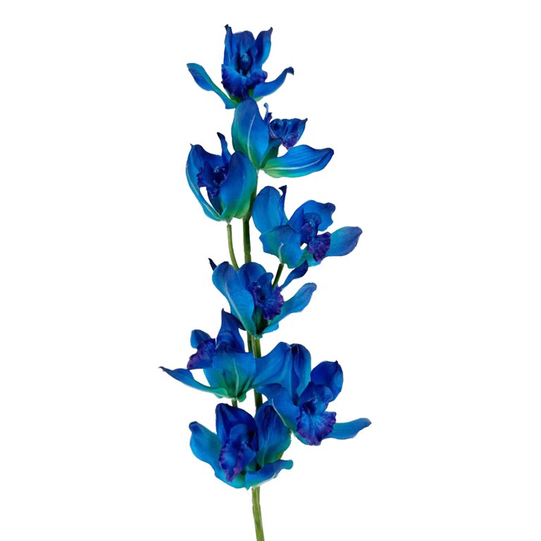 Mainstays Artificial Blue Cymbidium Orchid Stem 32 in Tall, 2 Pack