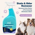 thumbnail image 4 of Kinzua Environmental Urine B-Gone Enzyme Odor Eliminator & Pet Stain Remover - Lavender Scent - 32oz, 4 of 9