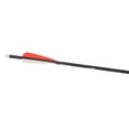 thumbnail image 5 of Bear X TrueX Max Crossbow Bolts, 5 of 7