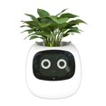thumbnail image 2 of Flowerpots with Dish Ceramic, Smart Flowerpots with Artificial Intelligence Time Temperature Display and Numerous Expressive Animatio Ns Based on The Environment, Flower Pots, 2 of 9