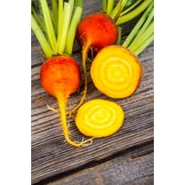 30 Seeds BURPEE'S GOLDEN BEET Beta Vulgaris Yellow Root Vegetable Seeds