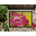 thumbnail image 3 of Carolines Treasures TMTR0317MAT Hot Pink Hibiscus by Malenda Trick Door Mat Indoor Rug or Outdoor Welcome Mat 18x27, 3 of 4