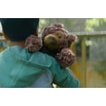 thumbnail image 6 of Philbin Teddy Bear 12-Inch Plush Toy | Chocolate Brown, 6 of 7