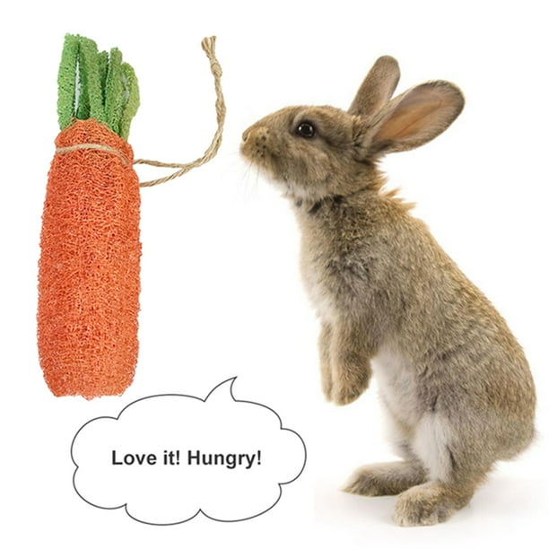 Nobrand Rabbit Chew Toy Set 7pcs Natural Bunny Toys Hamster Carrot Toy Chewing Sticks Multicolour