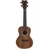 Dean Ukulele Concert - Exotic Koa