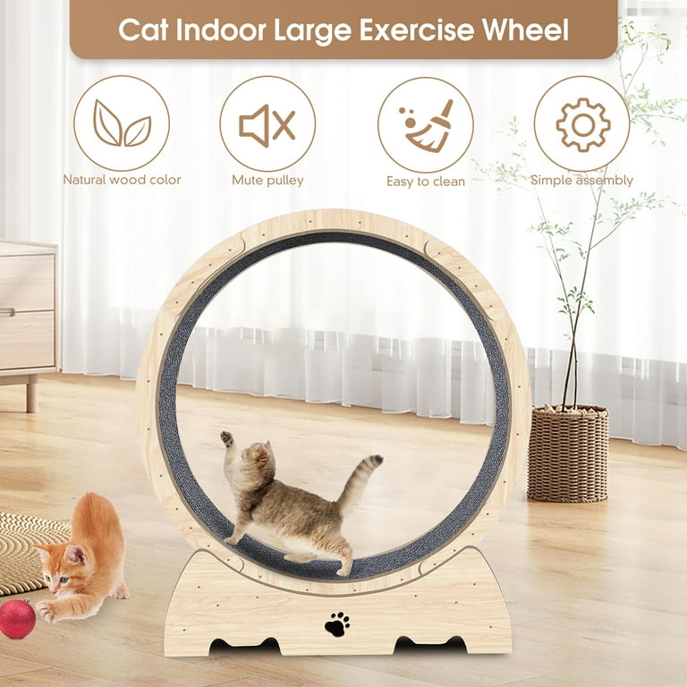 Cat exercise wheel aliexpress hot sale