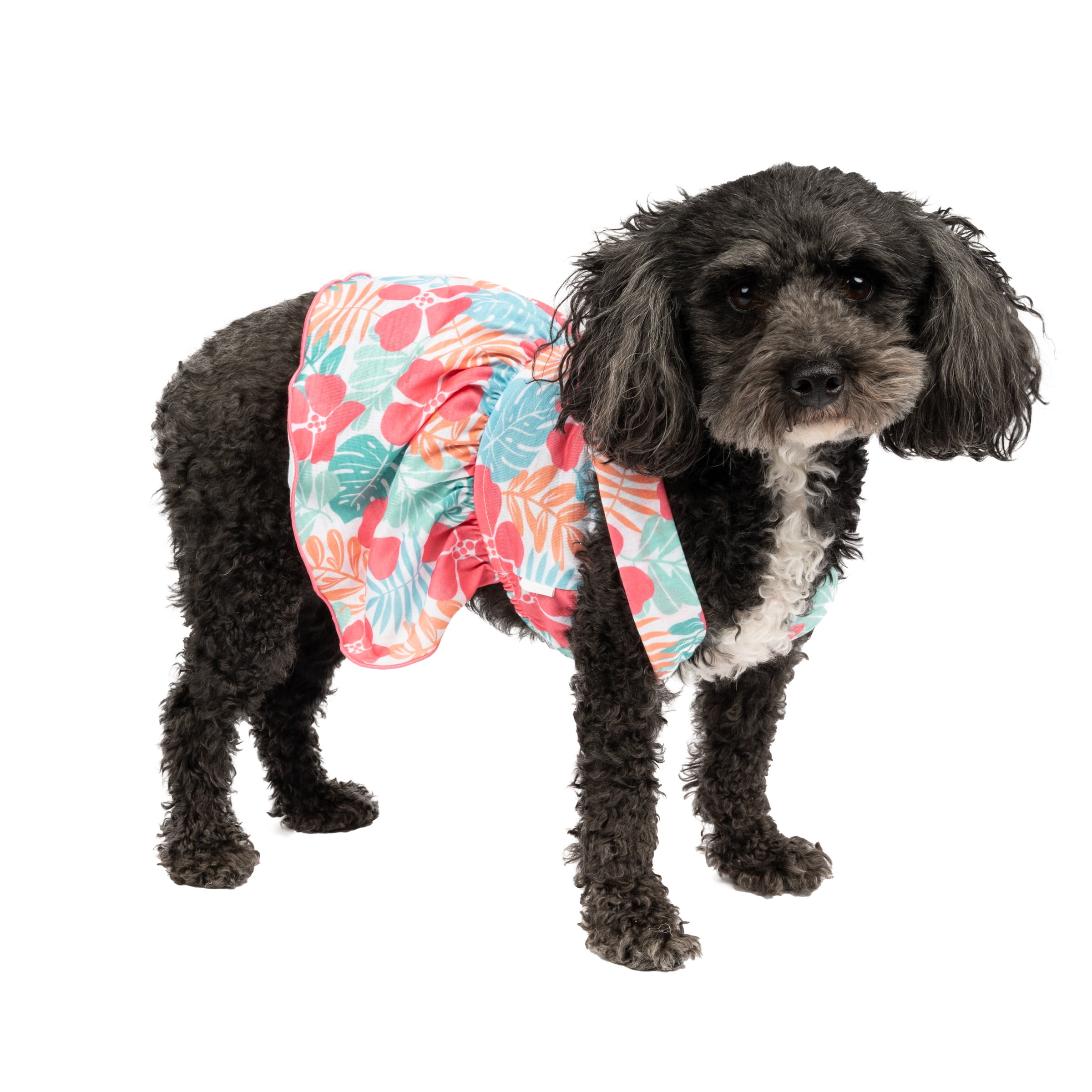 Vibrant Life Dog and Cat Clothes Tropical Flowers Pet Dress Multi