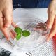 thumbnail image 4 of 160 Grid Mini Silicone Ice Tray Ice Cubes Foldable Ice -Mold Ice Breaker Ice Grid Tray Small Square-Mold Ice Maker Silicone-Mold, 4 of 11