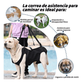 thumbnail image 3 of Andadera Para Perro - Rehabilitación Postoperatoria Talla M Xtellar negro, 3 of 4