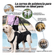 thumbnail image 3 of Andadera Para Perro - Rehabilitación Postoperatoria Talla Xl Xtellar negro, 3 of 4