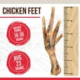 thumbnail image 3 of Best Dog Chews - Chicken Feet Dog Chews (No Claws) (5") 6-Count - Natural, Rawhide-Free - Supports Dental Health - Ideal for Puppies & All Breeds, 3 of 6