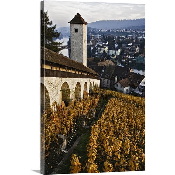 Great BIG Canvas | "Vineyard And Rhine River From Munot Castle, Schaffhausen, Switzerland" Canvas Wall Art - 16x24