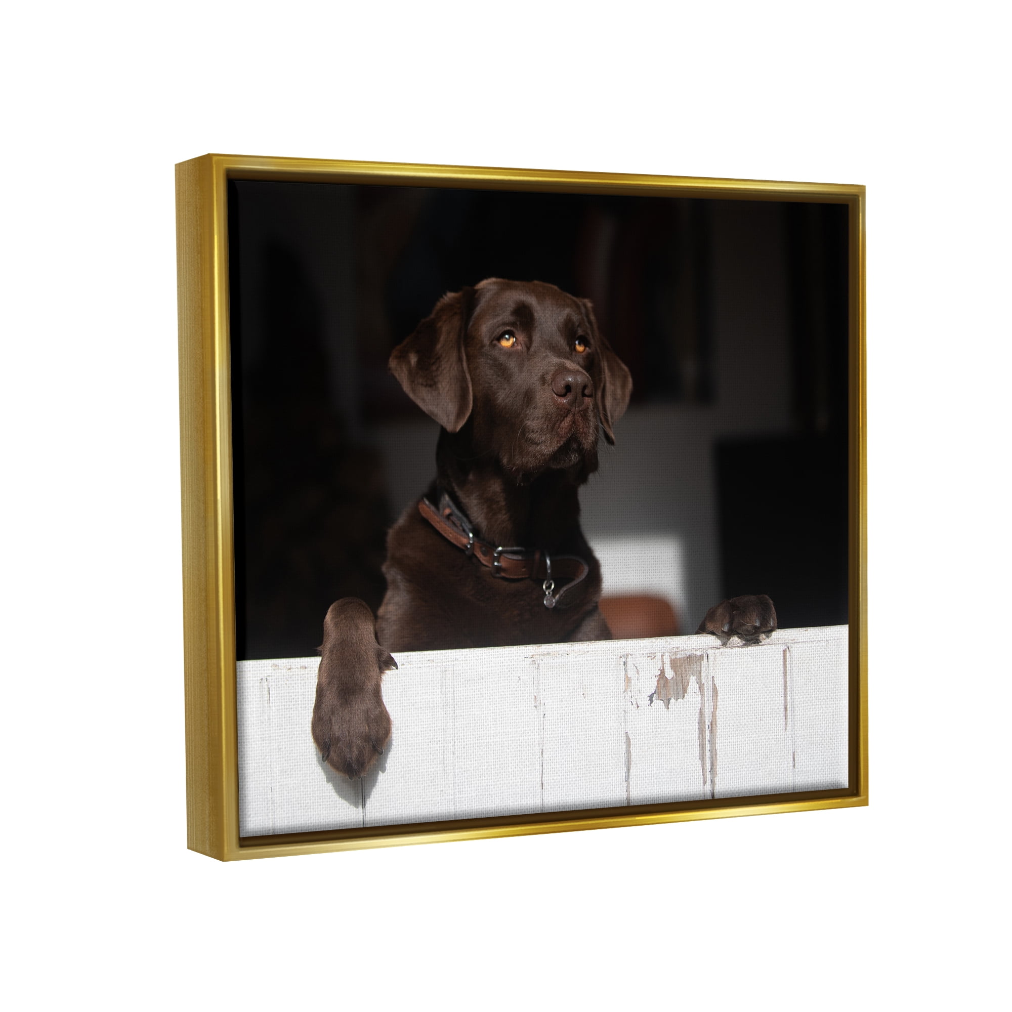 Stupell Industries Labrador Dog Overlooking Farm Leaning Barn Door Photograph Metallic Gold Floating Framed Canvas Print Wall Art, Design by James Dobson