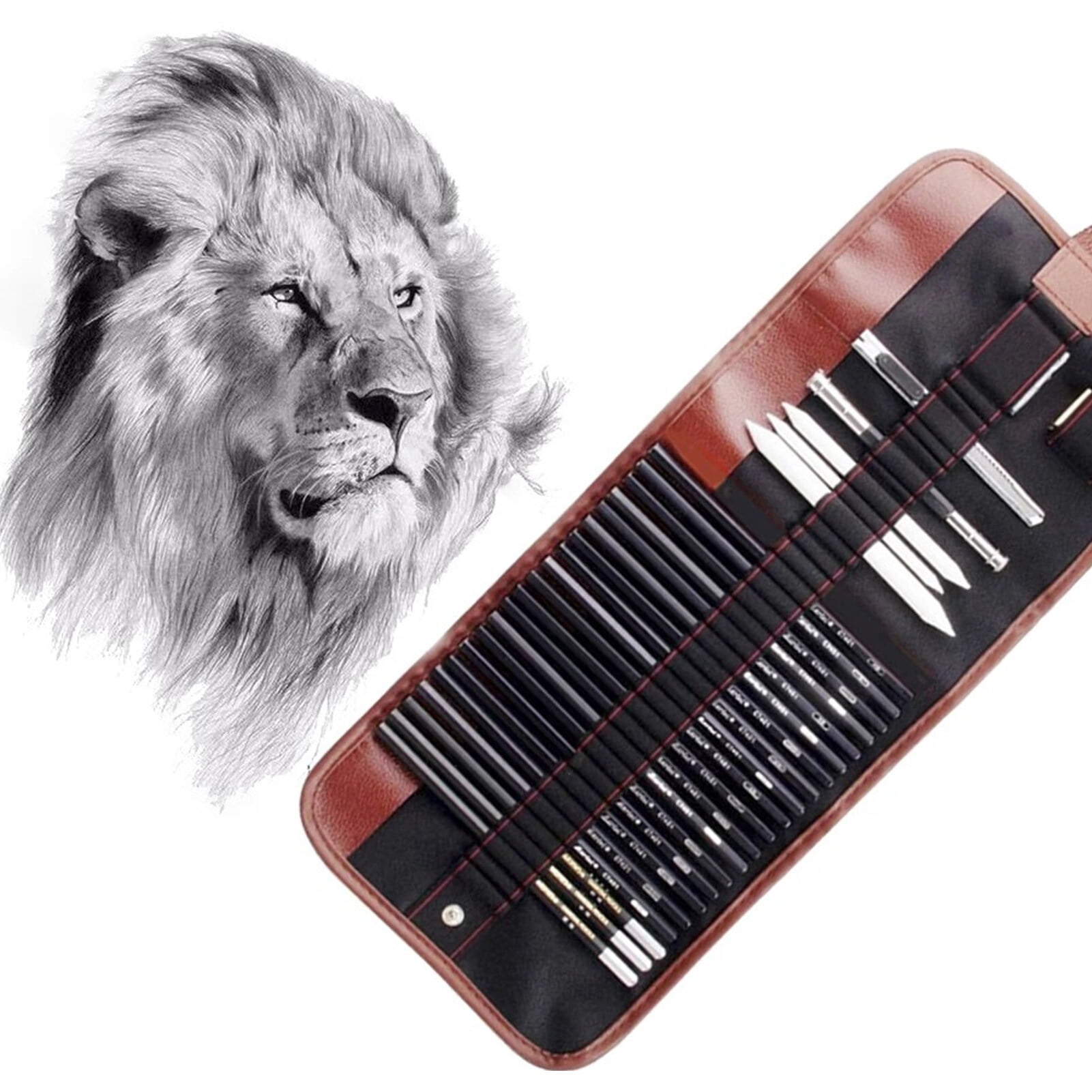 30PCS Pencil Set Drawing Sketching Charcoal Pencil Art Professional Art Supplies with Storage Pouch Bag Portrait Drawing Tool Great Gift for Adults Students Beginners And Artists