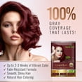 thumbnail image 3 of (5 pack) Herbishh Hair Color Shampoo for Grey Hair – Hair Dye Shampoo with Bio-Active Ingredients – Long Lasting Color – Travel-Friendly Pack (10 x 30ml Sachets) + 1 Pack Hair Mask Sachets (Grape Red), 3 of 9
