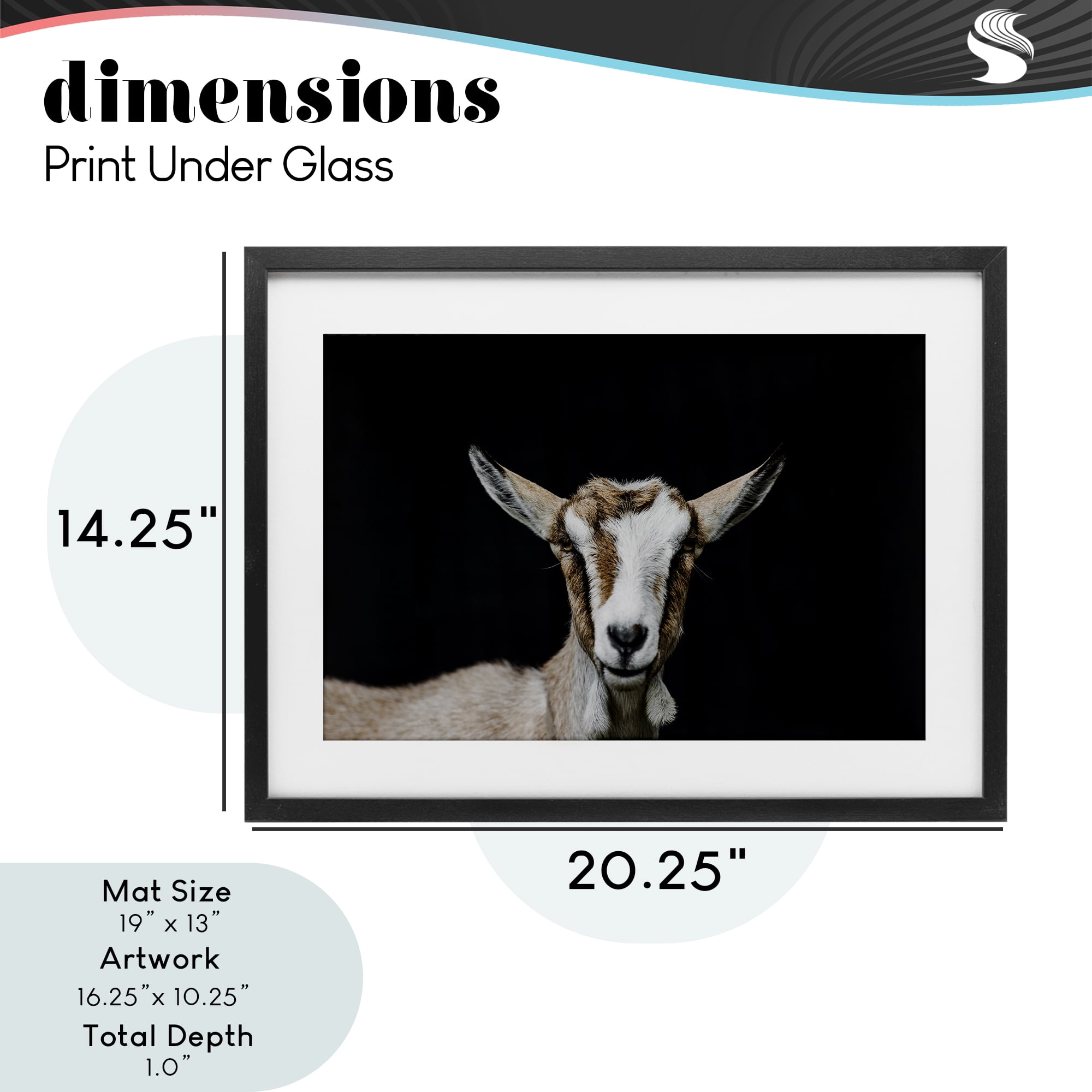 Goat Face over Black Black Framed Print Under Glass, design by Amy Carroll