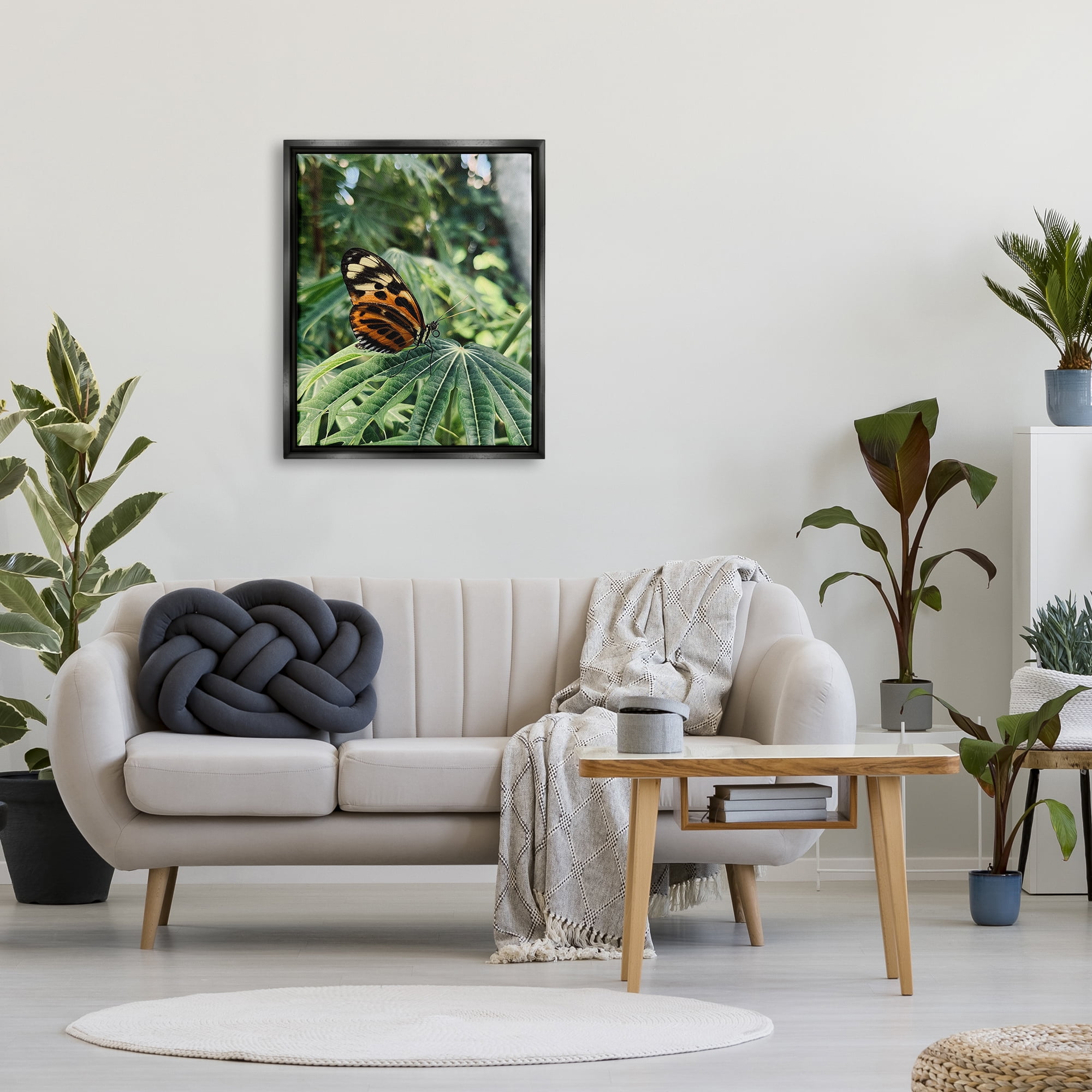 Stupell Industries Monarch Butterfly on Leaf Animals & Insects Photography Black Floater Framed Art Print Wall Art, 25 x 31