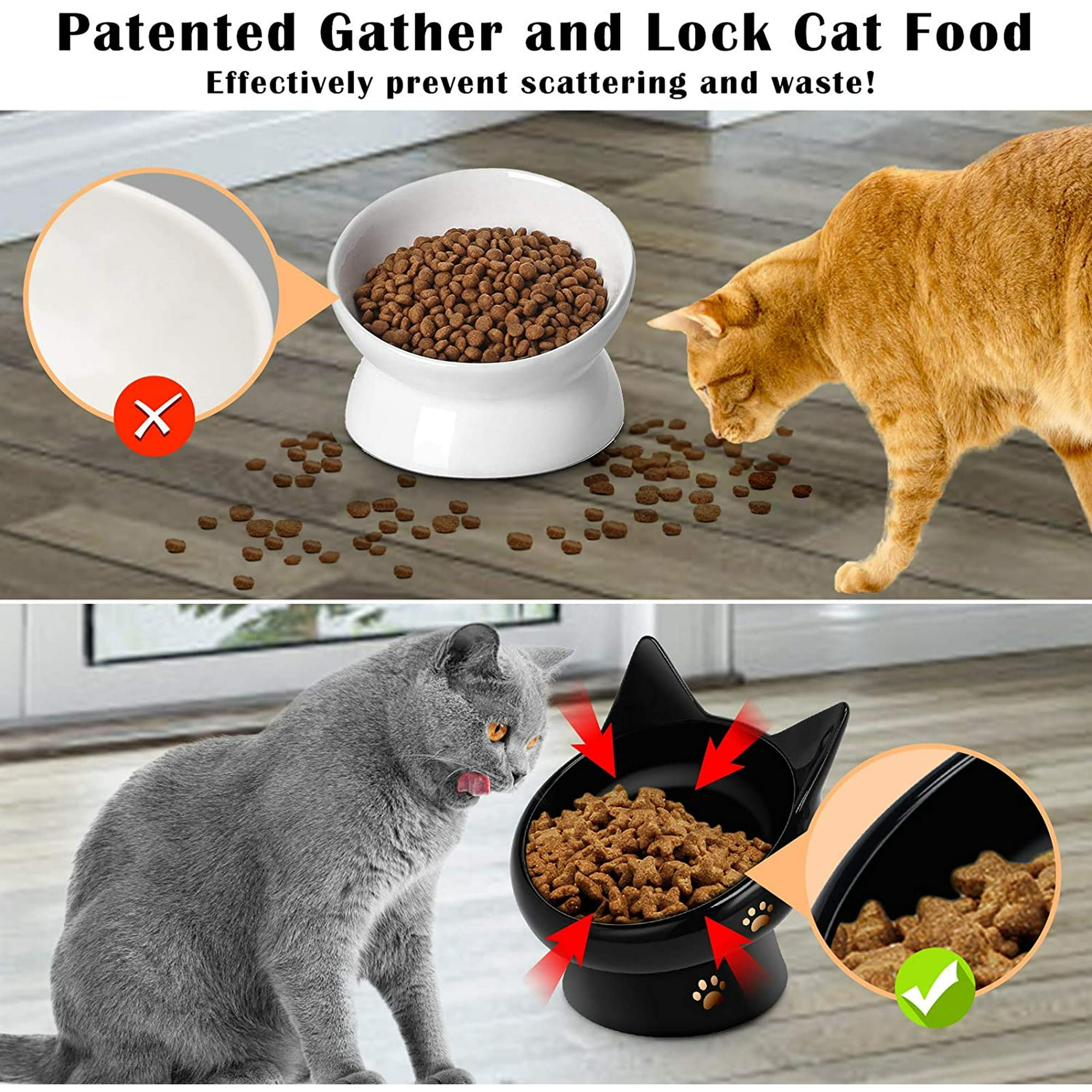 Best cat food dishes best sale