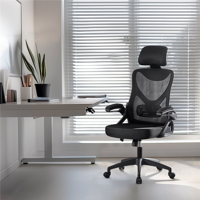 Alden Design High Back Ergonomic Mesh Office Chair with Adjustable