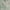 Light Grey/Seafoam, variant on SAFAVIEH Windsor Daquan Traditional Runner Rug, Light Grey/Seafoam, 3' x 8'