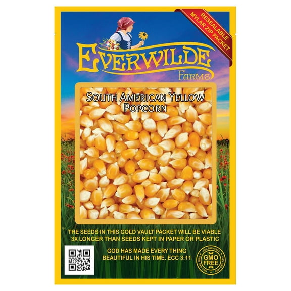 Everwilde Farms - 100 South American Yellow Popcorn Seeds - Gold Vault Jumbo Bulk Seed Packet