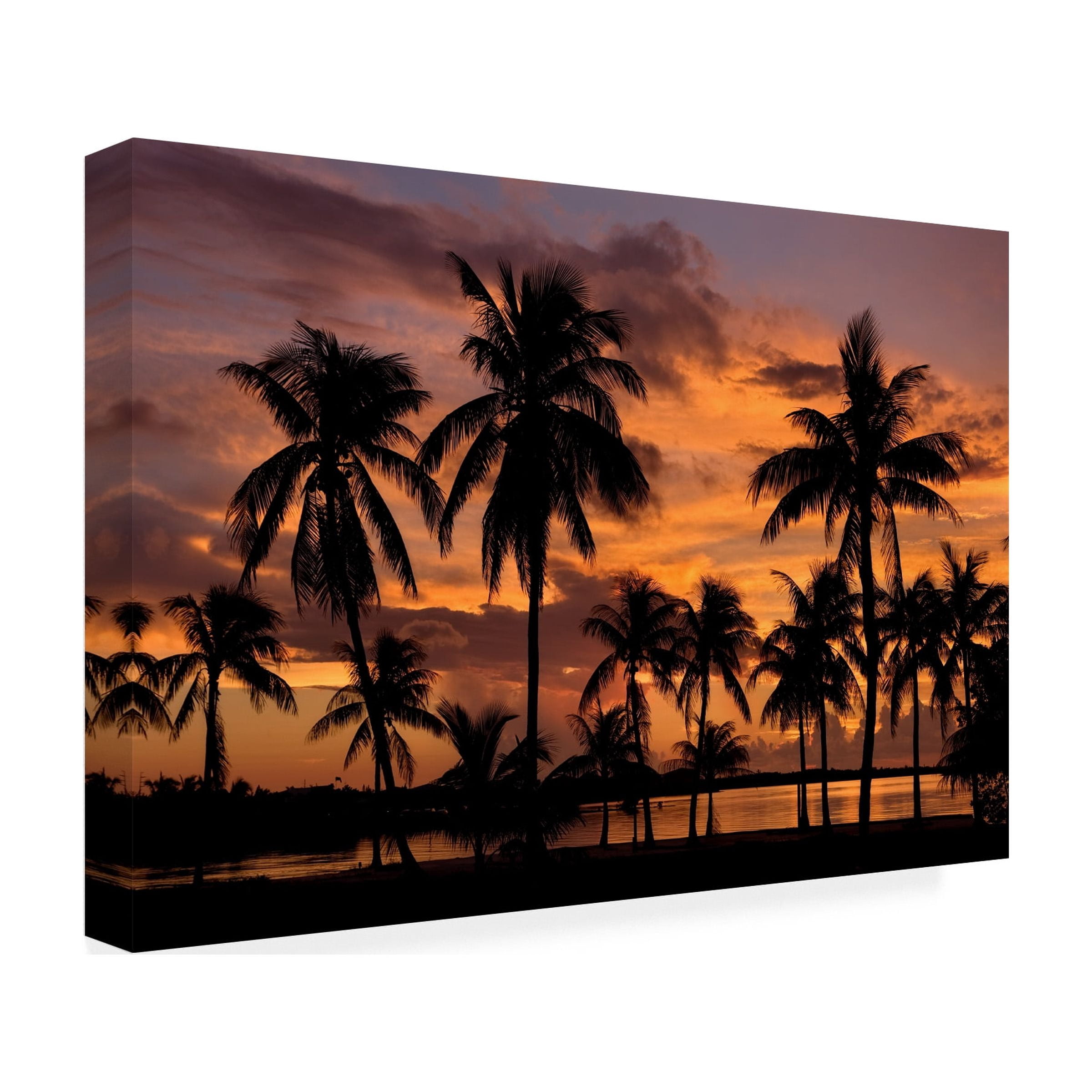 Trademark Fine Art 'Marathon Key Sunset' Canvas Art by Mike Jones Photo