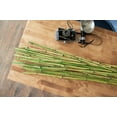 thumbnail image 3 of Green Floral Crafts Natural River Cane 3.5 Ft, 3-Tone Green, Pack of 10, 3 of 4