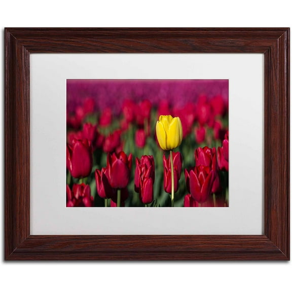 Trademark Fine Art "Yellow Tulip" Canvas Art by Pierre Leclerc, White Matte/Wood Frame