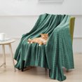 thumbnail image 6 of Dvumao Home Decor, Summertime Blankets Soft Fuzzy Warm Multifunctional Cover Blanket Napping Blanket Flannel Gift Blankets Bed Cozy Machine Washable, Man Gifts, 6 of 8