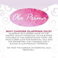 thumbnail image 6 of Ola Prima Rose Geranium Essential Oil, 4 fl oz, 6 of 7