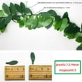 thumbnail image 3 of Guirnalda de hojas de eucalipto, enredaderas verdes artificiales de plástico para manualidades de pared de bodas, accesorio de corona decorativa, 22,5 metros de largo, plantas colgantes de follaje, 3 of 6