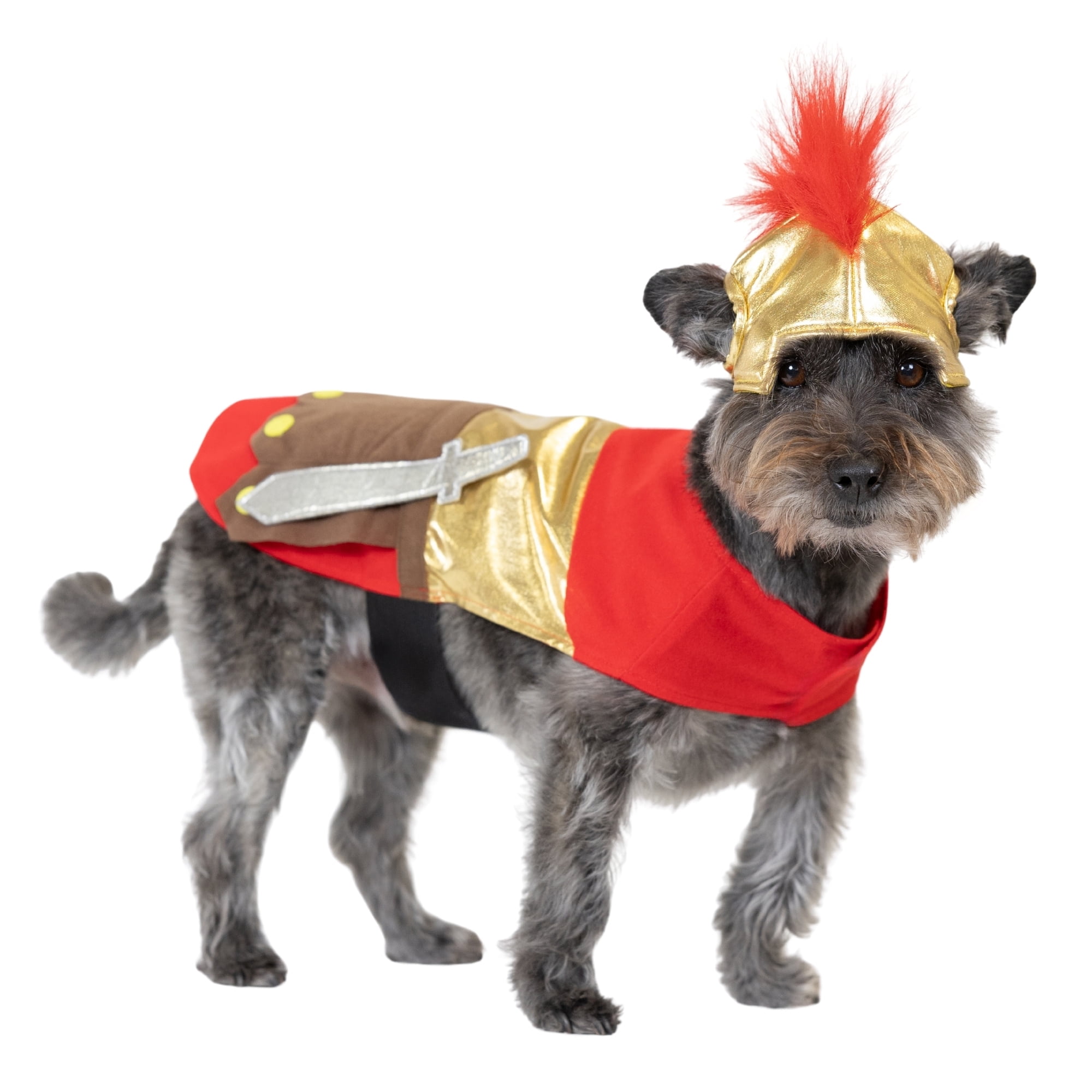 Vibrant Life Halloween Gladiator Costume for Dogs and Cats, Multicolor, Small