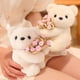thumbnail image 5 of Juguetes de piscina, juguetes para bebés, juguetes para niños pequeños. Oso de peluche con forma de rosa y flor abrazando. Mesa combinada con llavero de flor pequeña tejida y oso pequeño. Bolsa colgan, 5 of 6