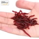 thumbnail image 1 of Cebo de pesca ANGGREK para Lombrices de tierra Caucho para Pescar Al Aire libre, 1 of 8