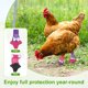 thumbnail image 5 of Uxcell 1-Par de Zapatos para Pollos, Botas Antideslizantes de Malla para Pies de Gallinas/Gallo Uso Interior Exterior [Rosa-púrpura, Tamaño S], 5 of 6